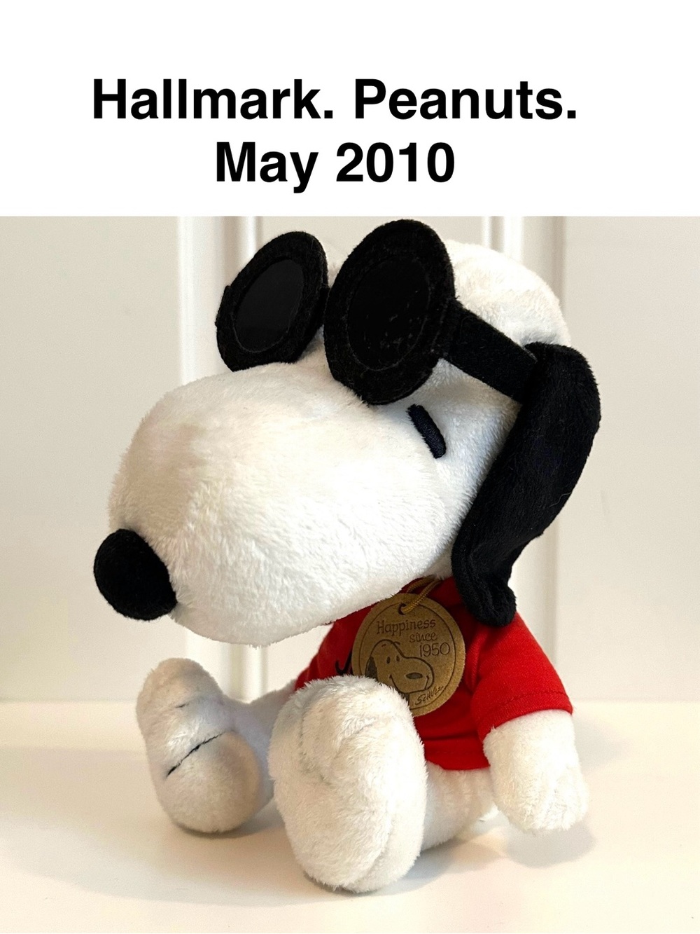 Hallmark Peanuts Snoopy Plush Dog Joe Cool 2010 Collectible 🥜